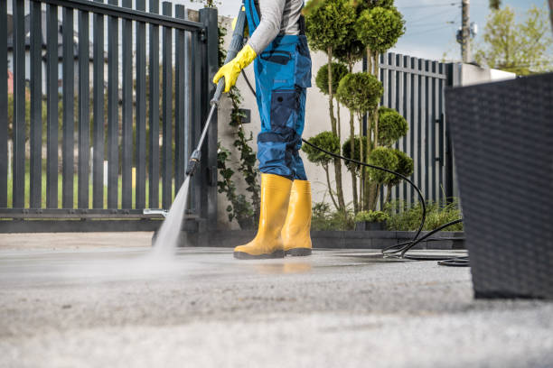 Best Window and Screen Pressure Cleaning in Vernon, WI