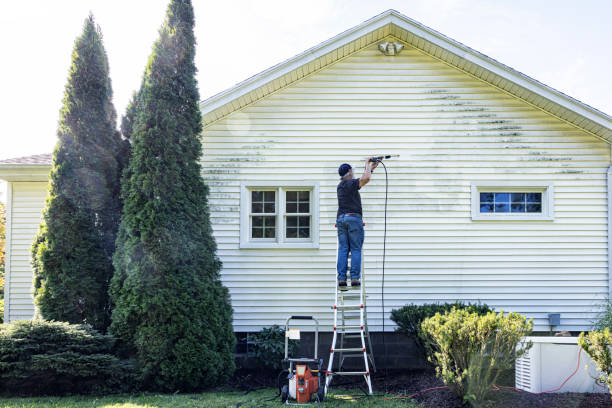 Best Sidewalk and Walkway Pressure Cleaning in Vernon, WI